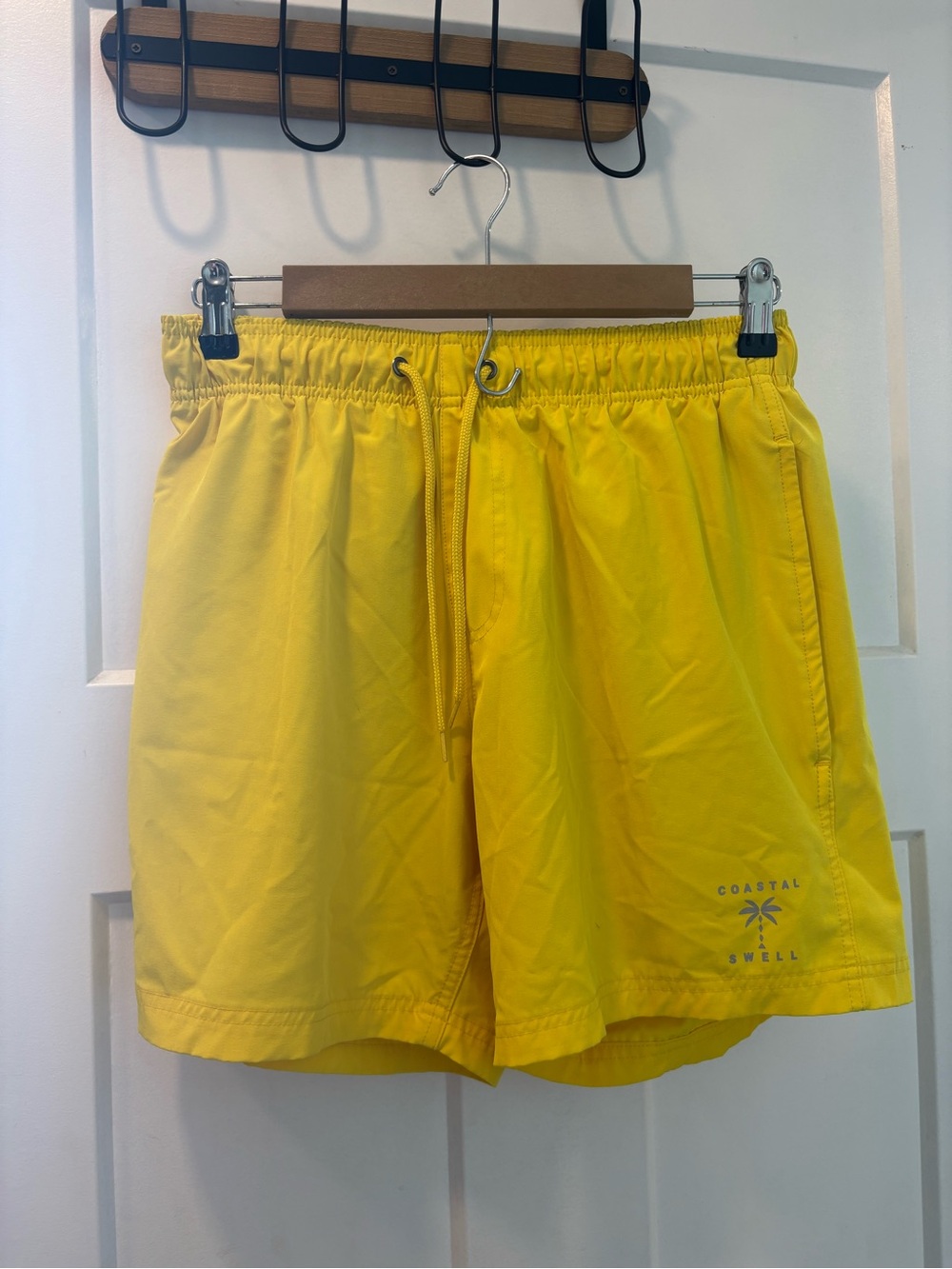 Father's Day Gift! Coastal Swell Men’s Swim Trunks - Size M